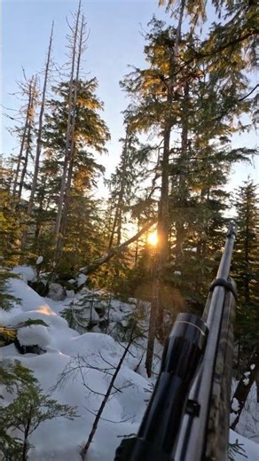 Did you hear it? Southeast Alaska Grouse Hunting#sunset #grousehunting #outdoors