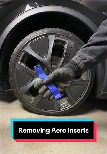 Removing Aero Inserts from Model Y Performance Wheels