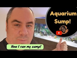 Discus Display Tank setup - the sump!