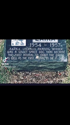 Visiting the memorial of Laika The Space Dog 🚀🐕 #dog #dogs #dogsoftiktok #fyp #foryoupage #spooky #grave #petcemetery #tourism #darktourism #doglover #history #graveyard #space #russia