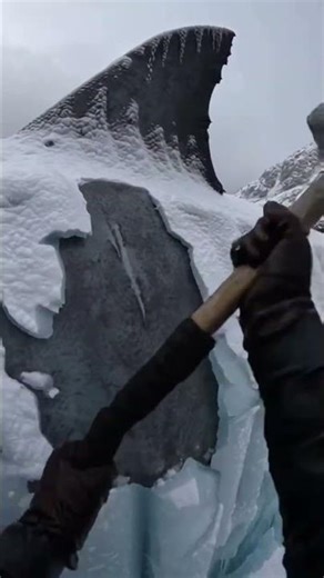 MEGALODON Frozen JAWS → 7-INCH TEETH UNLEASHED 😱#megalodon #animals #viral