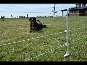 Cerco Eléctrico (Pequeños Animales) - EL PATEADOR® Instructivo de armado