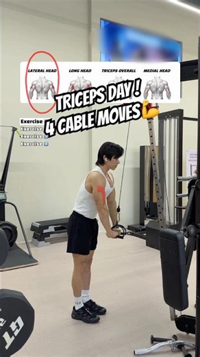 🔸Cable Triceps Workout - 4 Pushdown & Extension Variations #gymtips #tricepsworkout #triceps