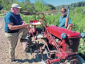 Westmoreland’s first hemp harvest is a bit rocky