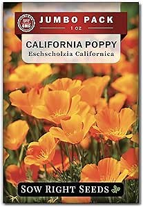 Sow Right Seeds - California Poppy Seeds for Planting - 1 Ounce, 21,000 Seeds - Non-GMO Heirloom Jumbo Pack with Instructions to Grow a Beautiful Flower Garden - Grow an Abundance of Orange Blooms