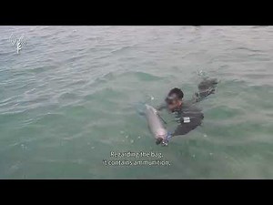 Israeli Navy’s Unit for Underwater Missions located dozens of weapons in the Gazan maritime region