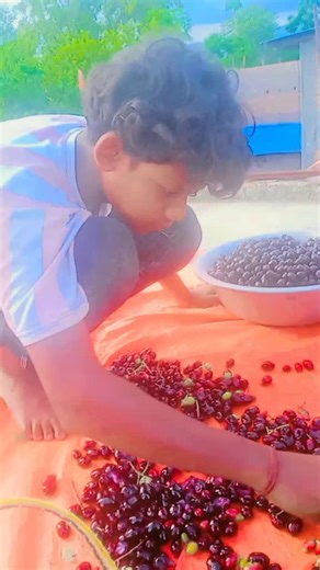 cute. maya (@cute..maya6)’s videos with original sound - 🦚