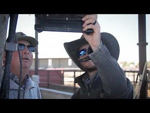 Record Health Data in Real-Time with Performance Beef