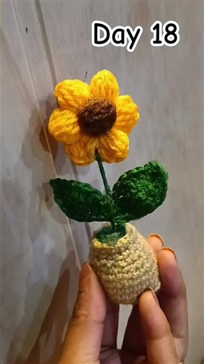 crochet mini flower pot. #radheradhe