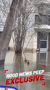 122K views · 2.8K reactions | River Plantation in Conroe TX Prayers for our Peeps experiencing any flooding in their homes. One Hood News Peep sent in these videos. | Grizzy's Hood News | Facebook