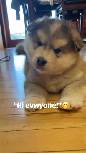 Mr Granite says “hello”😊❤️ | Joe G Henderson