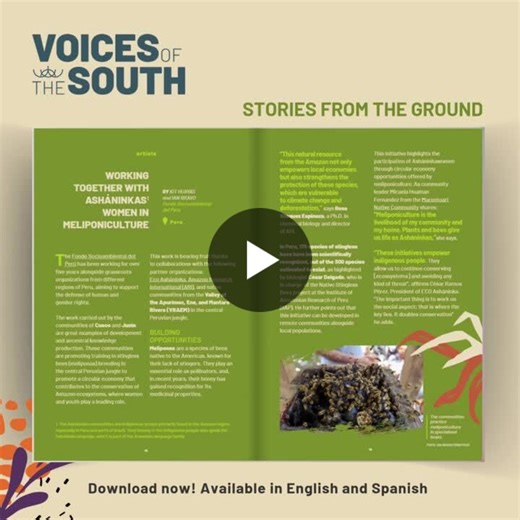 📢 What happens when local funds tell their own stories? 𝘝𝘰𝘪𝘤𝘦𝘴 𝘰𝘧 𝘵𝘩𝘦 𝘚𝘰𝘶𝘵𝘩 is an ongoing editorial project created by Alianza Socioambiental Fondos del Sur , a space where members… | Global Greengrants Fund