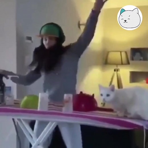 58K views · 2.2K reactions | Méo: chuyện xui rủi tui đau có muốn -Tran- | Méo | Facebook