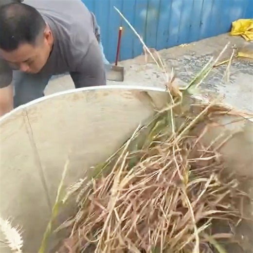 Amy Li | We are a manufacturer of animal feed pellet mills. Our machines utilize spiral toothed rollers to ensure stable pressure, smooth operation,... | Instagram