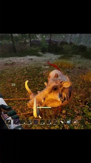 Jabalí espacial #icarus #icarus2026 #dessertpunkwhite