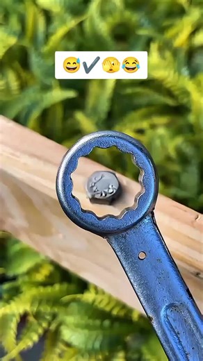 #danishalee #funny #fyp #viral #fun