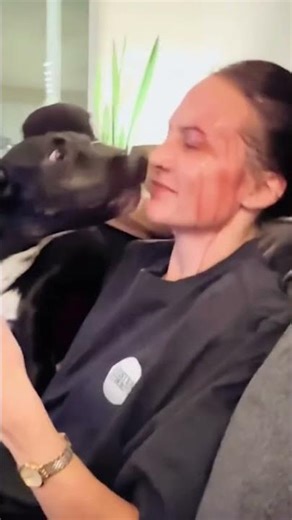 fails shorts #134 #shorts #fail #funny