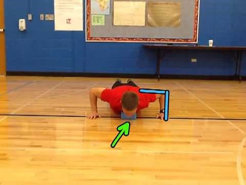 Fitnessgram Push-up Test