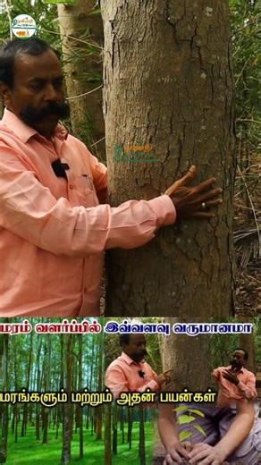 64K views · 980 reactions | நிலத்தை சுற்றி மரம் வைத்தால் எவ்வளவு லாபம் மா ! #reelsfb #facebookviral #trees #plants #uzhavinriunavillai #mohokani #facebookpost | Uzhavinri Unavillai | Facebook