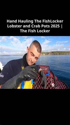 The Fish Locker on TikTok