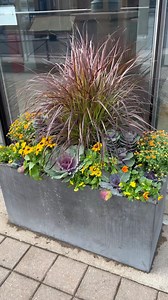 265K views · 2.8K reactions | Rectangular Fall Planter design ! | the.wreath.coach | Facebook