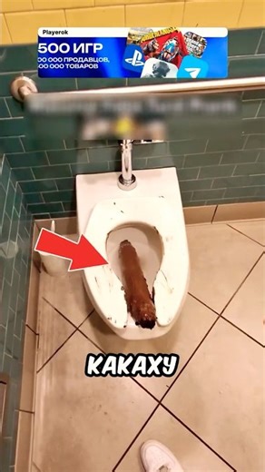 Giant Fake Turd Prank 😳💩