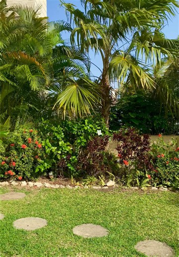 Yellow Bird Hotel Barbados on TikTok