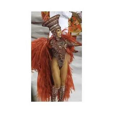 Carnaval in Rio 2020