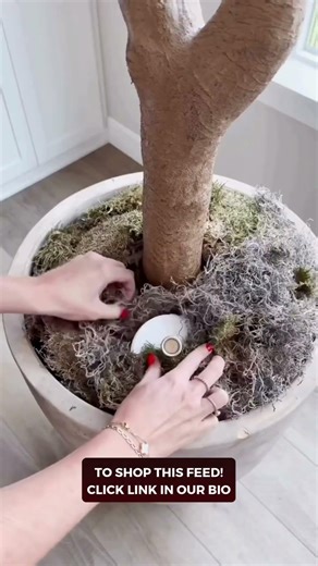 Stylish Amazon Home Decor Best Buys You’ll Love!