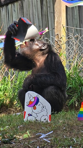 8.6K views · 353 reactions | Our residents have been enjoying...