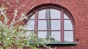 Pinus wallichiana is coniferous evergreen tree native to Himalaya, Karakoram and Hindu Kush mountains, from eastern Afghanistan. Other names include blue pine, Himalayan white pine. Arched window.