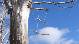 Relaxation scene, tree ladder hanging from a tree, peaceful moment, static shot