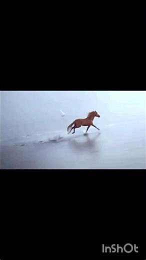 Humko Sirfe Tumse Pyar Hai#bolleywoodsong#love#hearttouching#nature