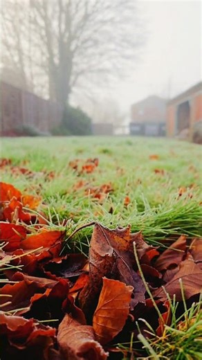 "Pudhu Vellai Mazhai" london weather now -3° freezing day snowing day & lovely day 😀 😊