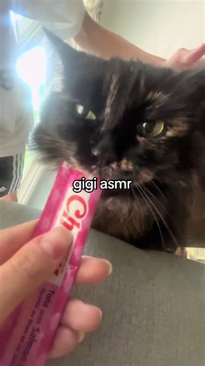 gigi asmr 😻😻