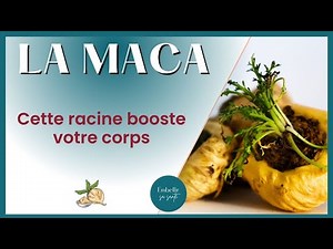 Maca: The Root That Awakens Vitality and Desire (and Much More)