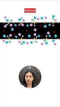 Generation & Conduction of Nerve Impulse #shorts #neet #ytshorts #biology #class11 #study #exam #yt