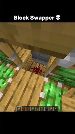 Minecraft Block Swapper