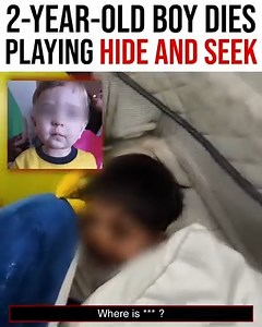 5.6M views · 69K reactions | Nightfam, to be honest, this is too heartbreaking to share. But I hope that by discussing this, we prevent the same thing from happening ever again. Rest easy, Leonardo. | Project Nightfall | Facebook