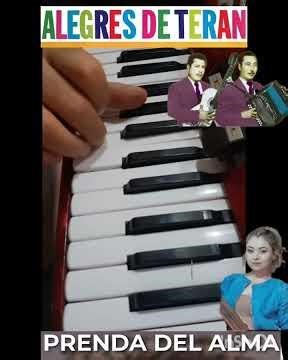 Soulful garment Alegres de Terán mini accordion tutorial