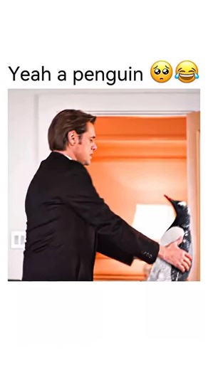 film ediz on Instagram: "Movie Title: Mr. Popper’s Penguins (2011) Short Summary: Tom Popper (Jim Carrey) is a successful real estate developer who inherits six penguins from his father. In this scene, Popper is trying to deal with the chaos of having penguins in his New York apartment. One of them floods his bathroom, leading to a comedic disaster where Popper gets soaked while trying to manage the birds. Ratings: IMDb: 6.0/10 | Rotten Tomatoes: 47% (Critics). Where to Watch: Disney+, Hulu, Ren