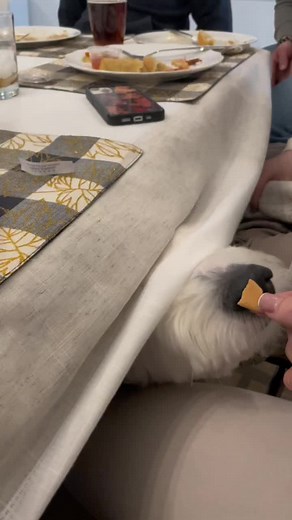 Dougwas eats fortune cookie… what does his fortune say🤔…?