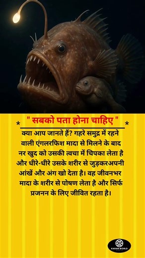 Best success motivation business #shorts #success #motivation #trend