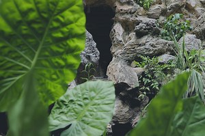 10 Decorative Septic Tank Cover Ideas (Dos and Don'ts)