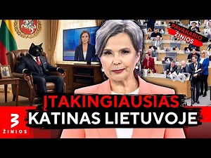 Naktinis farsas dėl LRT: vynas, kebabai ir pasiūlymai, kurių Seimas dar nematė