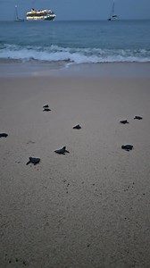 Kathryn Alexander on Reels | Facebook