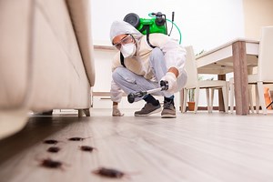 8 Signs of a Bug Infestation You Should Never Ignore, Exterminators Say — Best Life