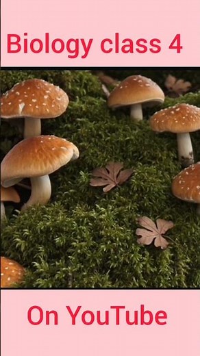 #biology #fungi introduction of fungi part 1