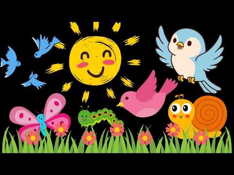 Springtime Birds and Bugs baby sensory video high contrast visual stimulation