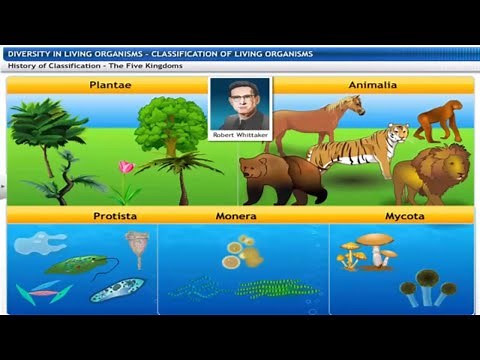 CBSE Class 9 Science -7 || Diversity in Living Organisms || Full Chapter || by Shiksha House